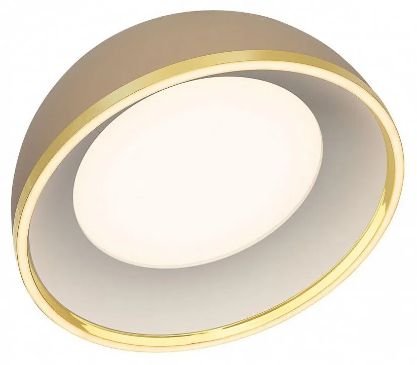 Накладной светильник Citilux FLOOM CL736152