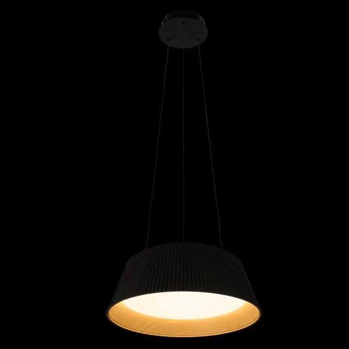 Подвесной светильник Loft it Evans 10224P Black