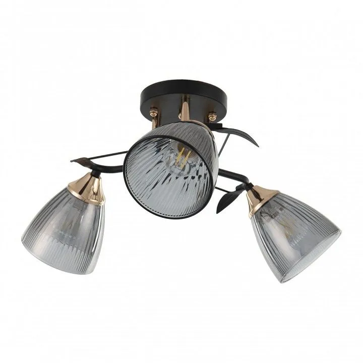 Потолочная люстра Arte Milano AMALFI-322610 322610/3 BK+FG