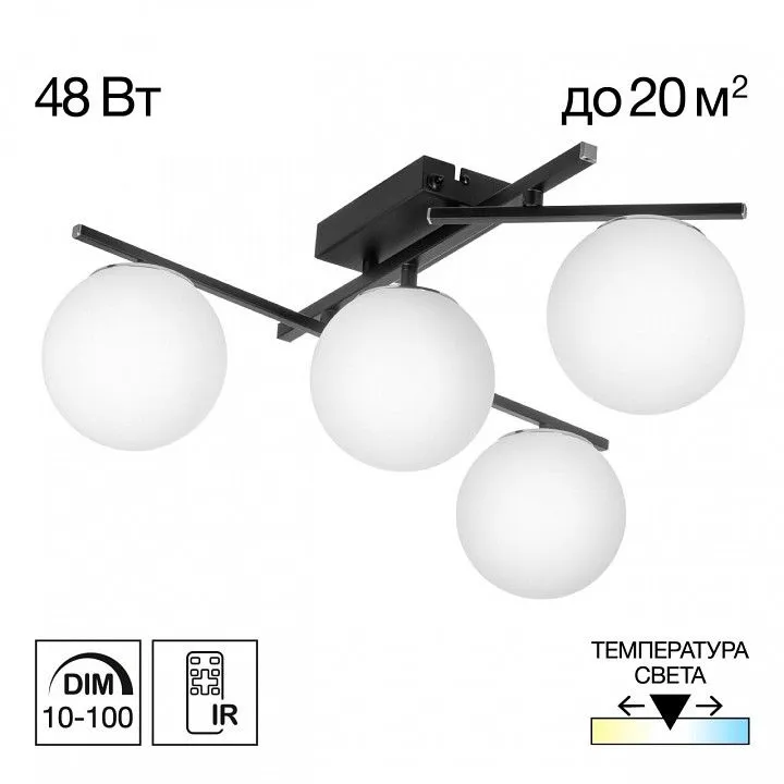 Потолочная люстра Citilux Dorsy CL223142