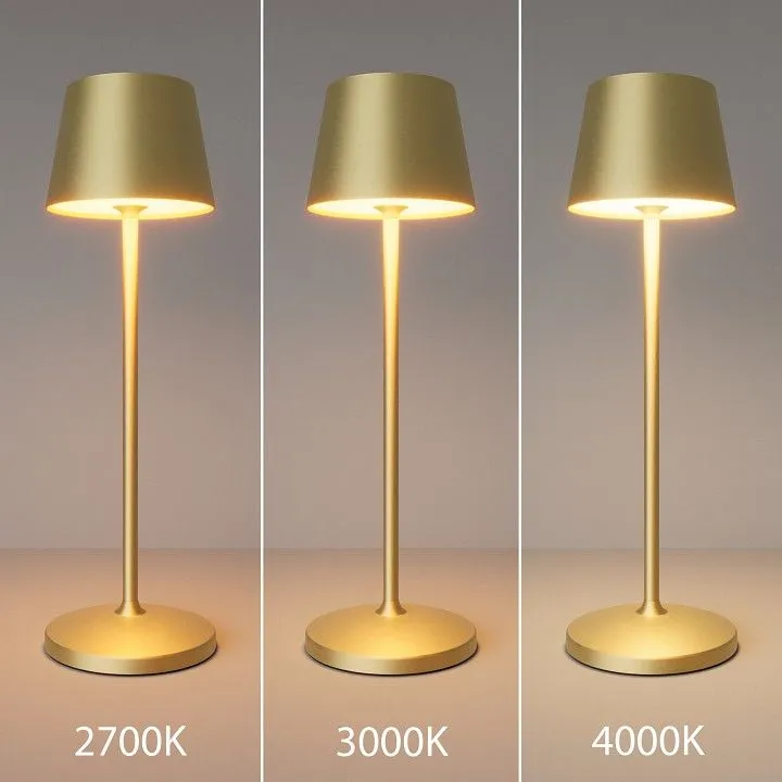 Настольная лампа декоративная Maytoni Уголок MOD494RL-L1BSK