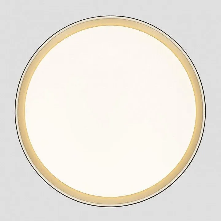 Накладной светильник Citilux BOSS CL751451G
