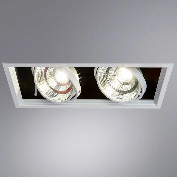 Встраиваемый светильник Arte Lamp Merga A8450PL-2WH