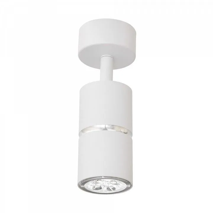 Спот Lampit ASTI TS TK40-C1 WT+CHR
