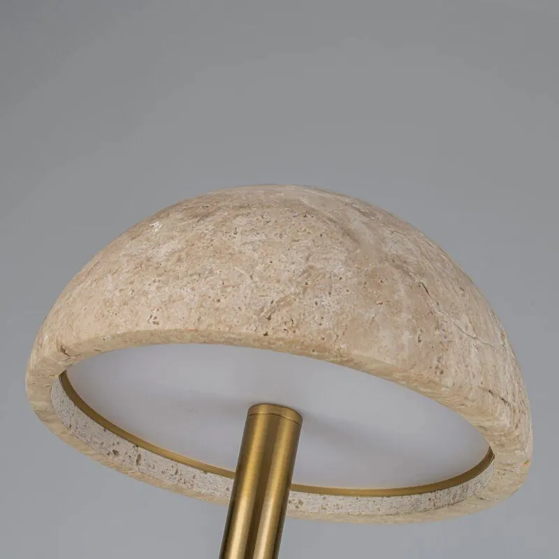 Торшер с подсветкой Favourite Gorrito 4892-1F