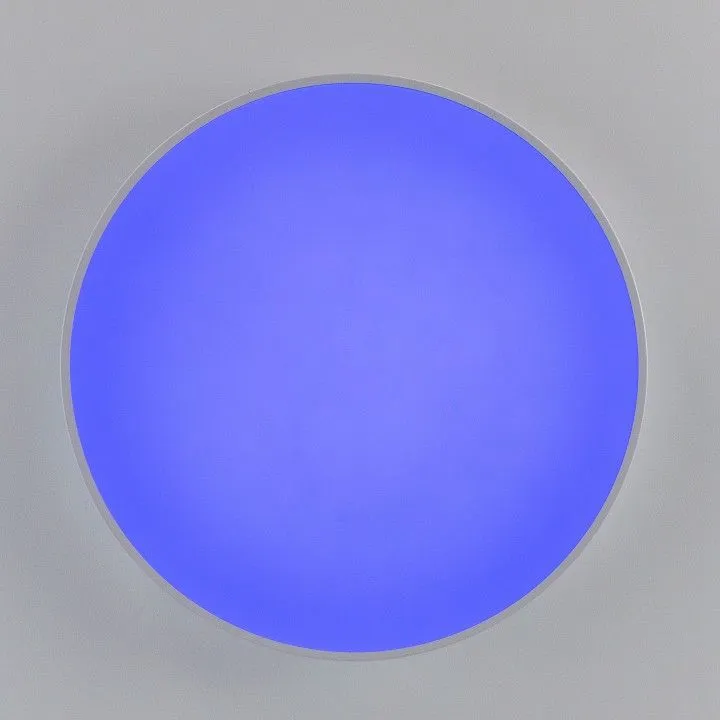 Накладной светильник Citilux Купер CL72495G0