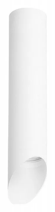 Накладной светильник Lightstar Rullo R49636