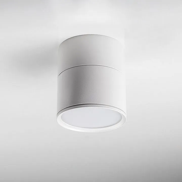 Накладной светильник Lightstar Acuto 215886
