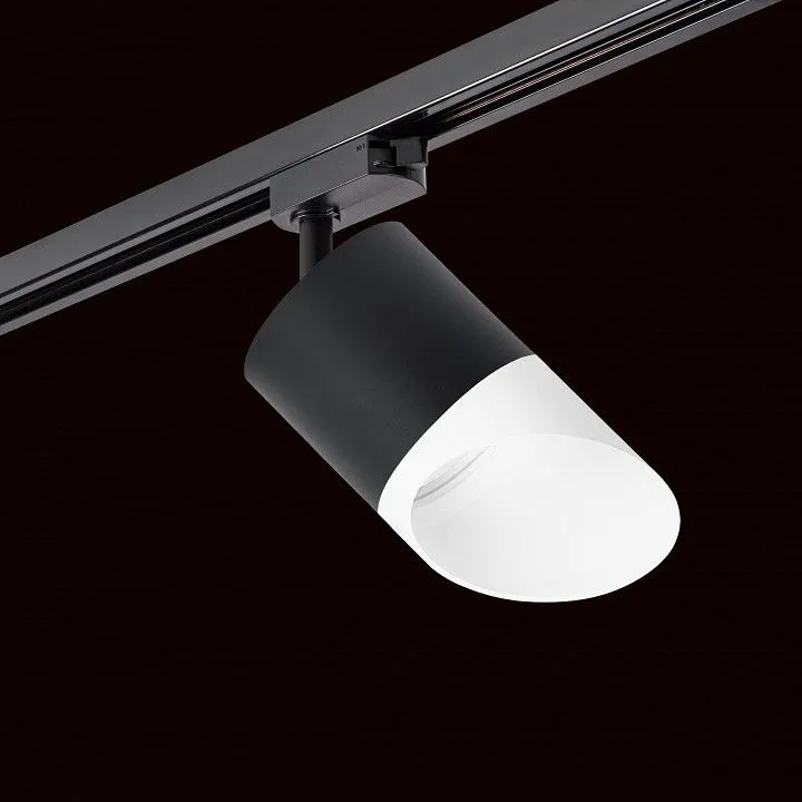 Светильник на штанге Lightstar Rullo R1T348786