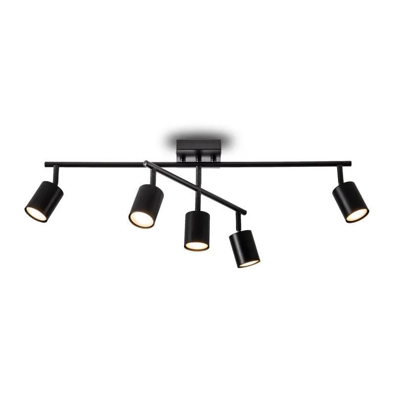 Люстра на штанге Freya Animo FR5507CL-05B