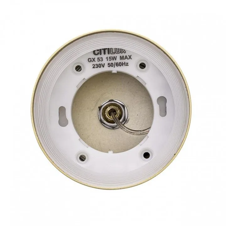 Подвесной светильник Citilux Hardy CL002P12