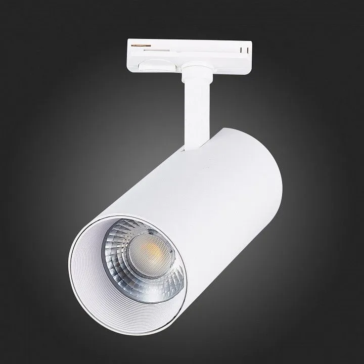Светильник на штанге ST-Luce Mono ST350.546.30.24