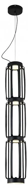 Подвесной светильник Indigo Capsula 14027/4P Black
