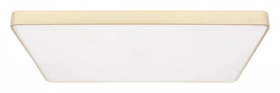 Накладной светильник Loft it Flims 10228/E