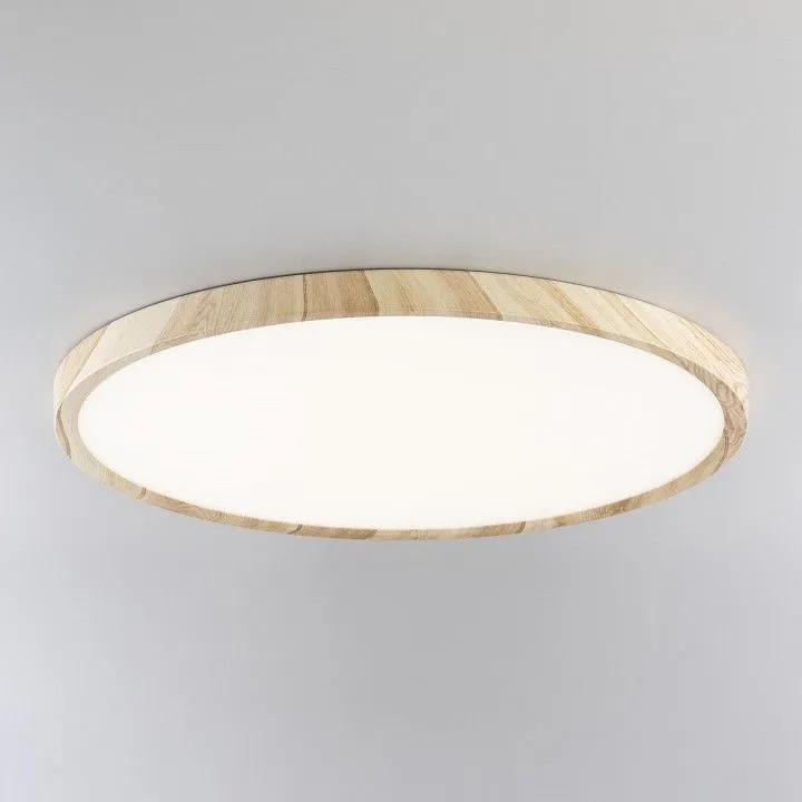 Накладной светильник Citilux Бейсик CL738322V