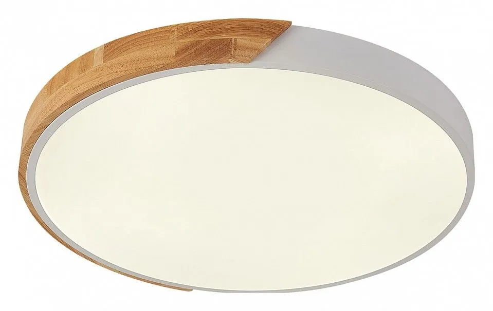 Накладной светильник Natali Kovaltseva Scandinavian LED LAMPS 81182