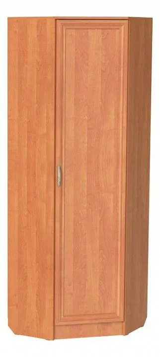 Шкаф платяной ШП-10