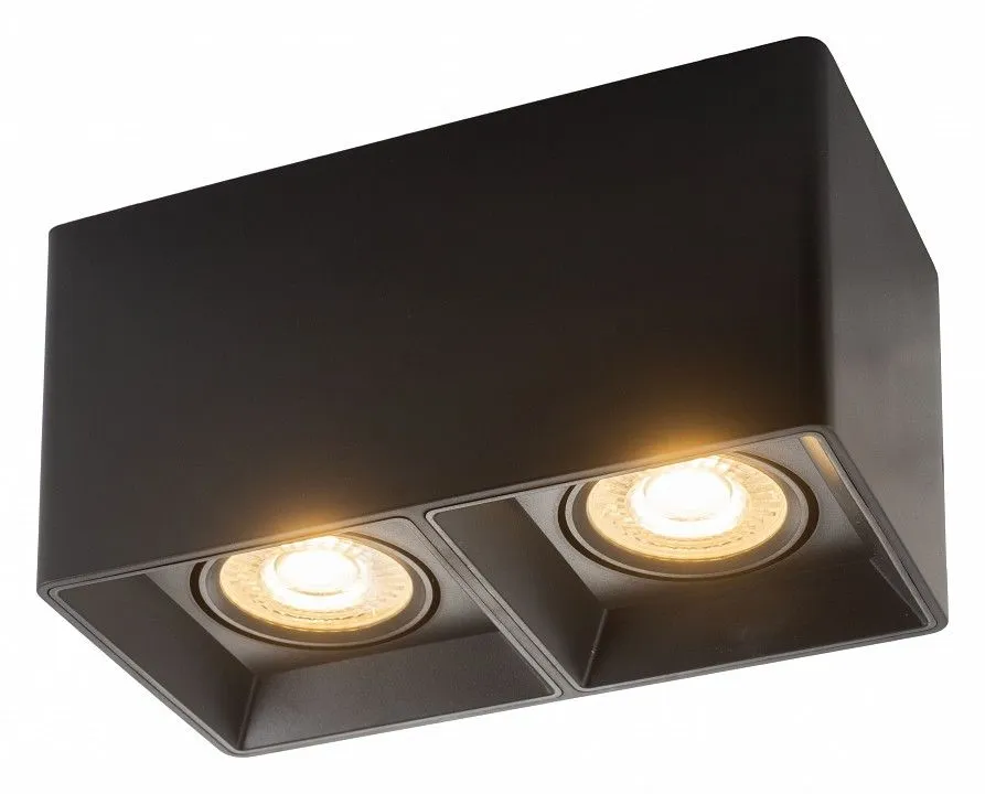 Накладной светильник Denkirs DK3030 DK3035-BK