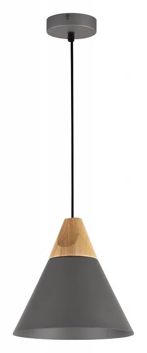 Подвесной светильник Maytoni Биконес P359-PL-220-C