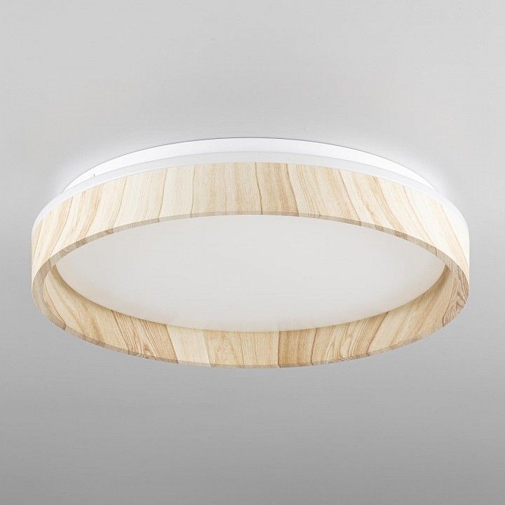 Накладной светильник Citilux ENZO CL753352G