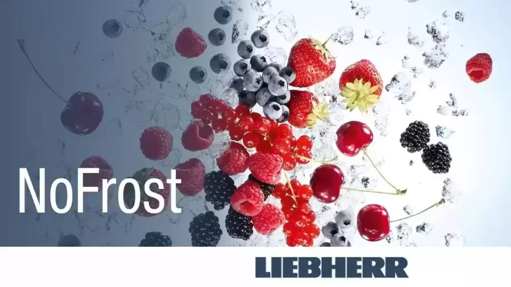 Морозильник Liebherr GN 3835