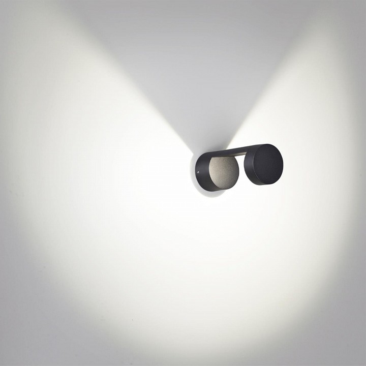 Накладной светильник Odeon Light NATURE 6657/10WL