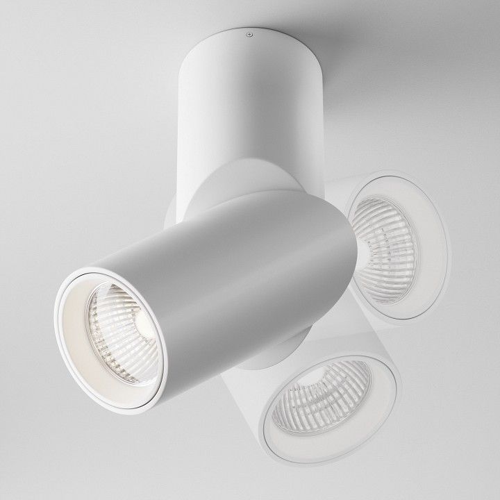 Светильник на штанге Maytoni Technical Dafne C027CL-L10W4K