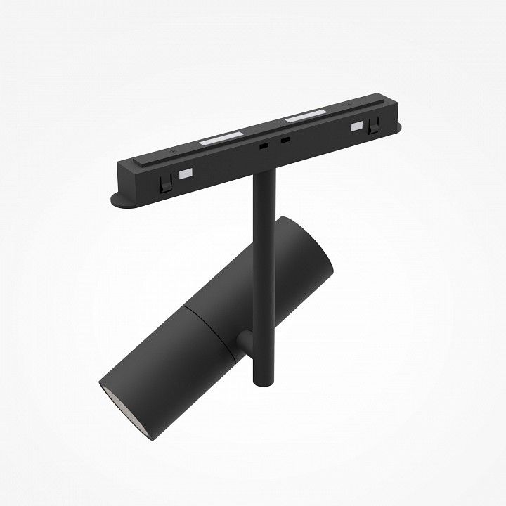 Светильник на штанге Maytoni Technical Элти TR005-2-12W3K-B