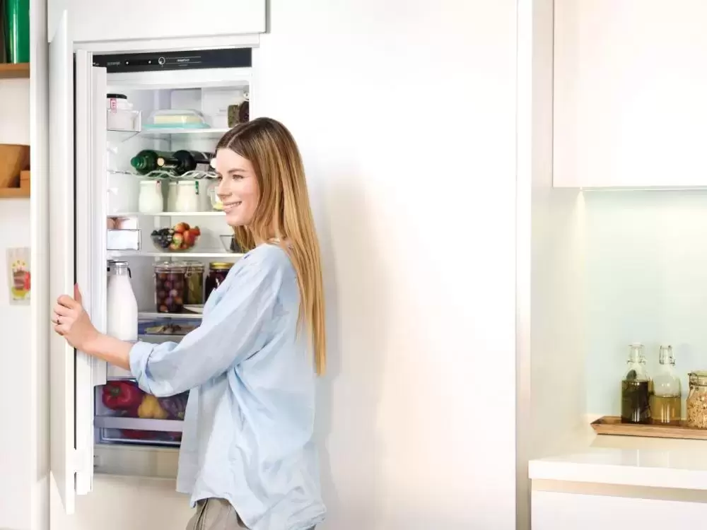 Встраиваемый двухкамерный холодильник Gorenje NRKI4181A1