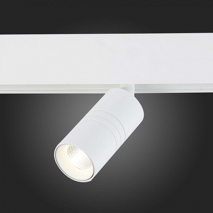 Светильник на штанге ST-Luce Lemmi ST365.546.07