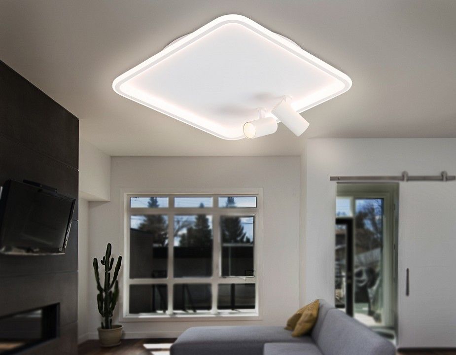 Накладной светильник Ambrella Light FL FL5114
