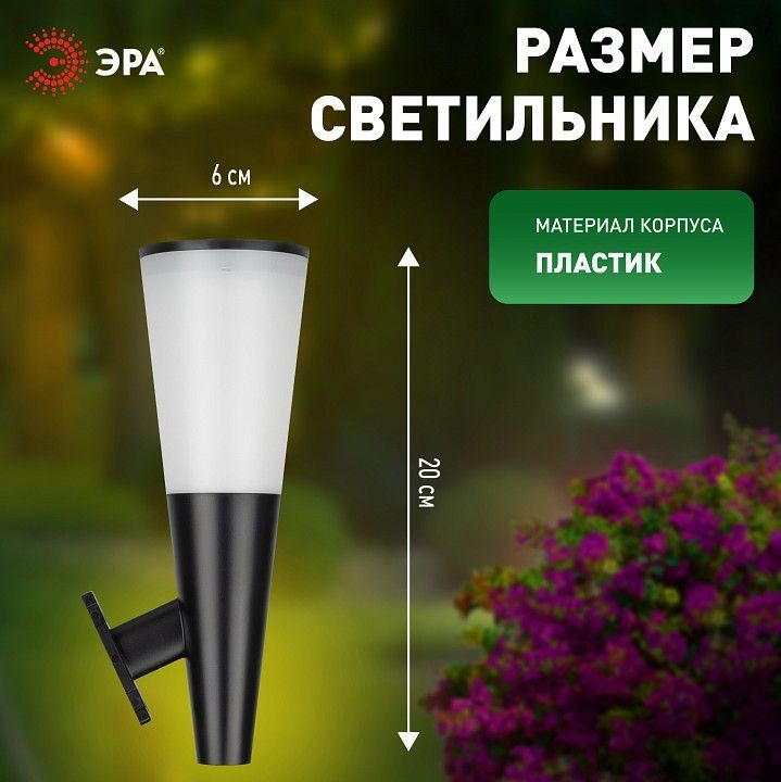 Накладной светильник Эра  ERAFS012-09