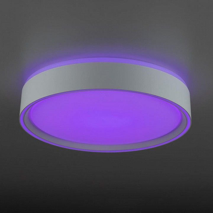 Накладной светильник Citilux BOSS CL751250G
