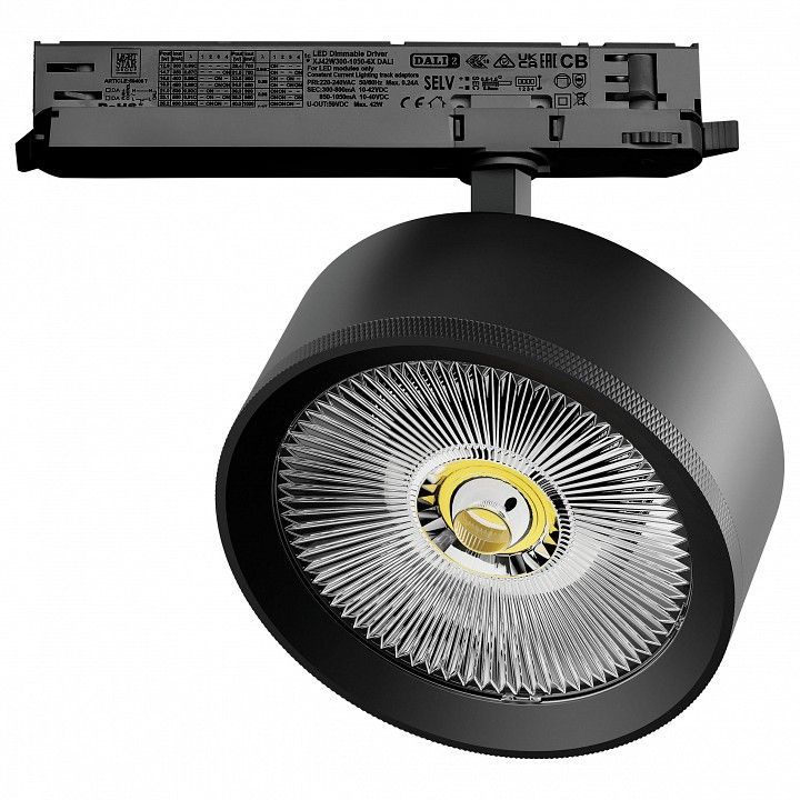 Светильник на штанге Lightstar Alta Pro A5747DALI