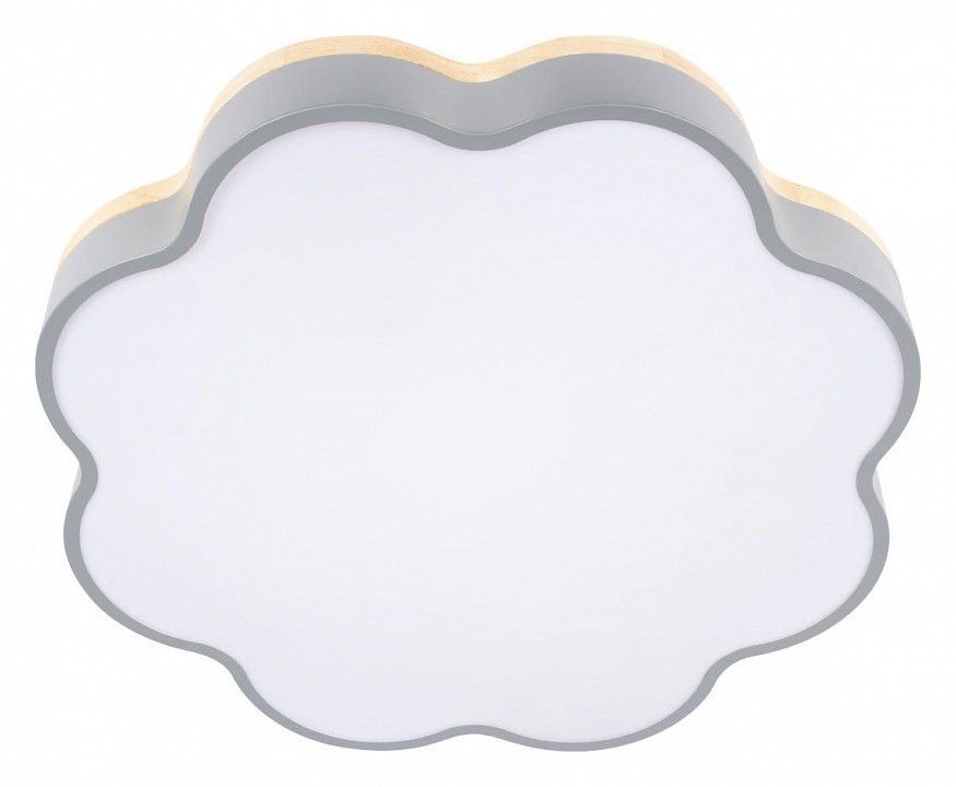 Накладной светильник Loft it Axel 10225/36 Grey