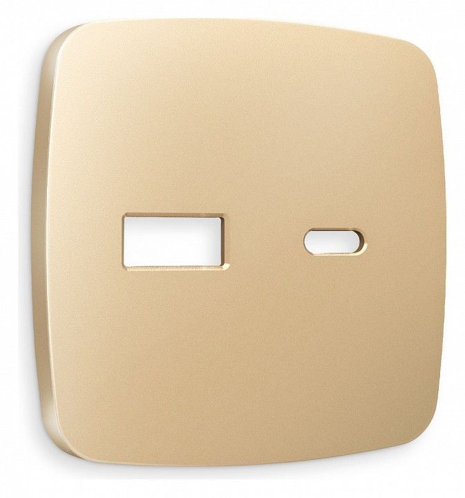 Накладка для розетки type A и C Ambrella Volt OMEGA OP6110