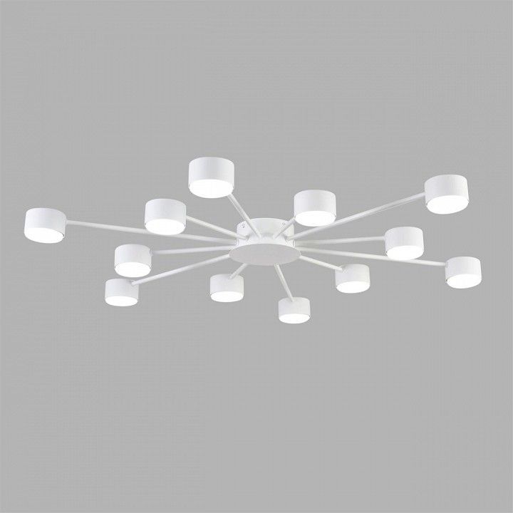 Потолочная люстра Lumion TORINA 8343/12C