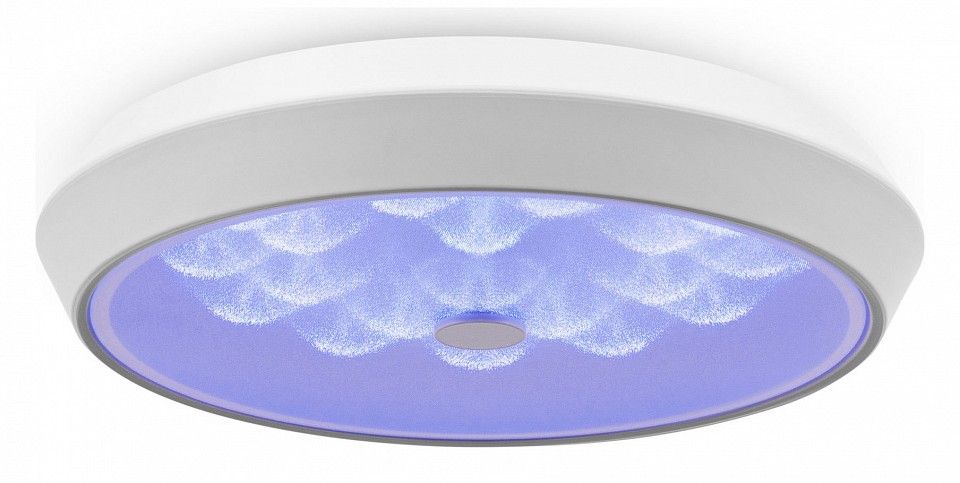 Накладной светильник Freya Элементы FR10012CL-L24W