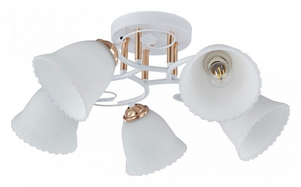 Потолочная люстра Arte Milano AMALFI-325395 325395/5A WH+FG