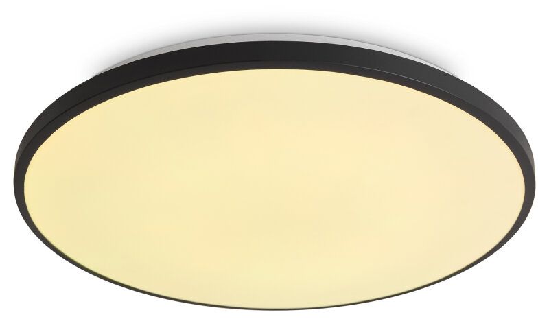 Накладной светильник Freya Obelle FR6211CL-L24B