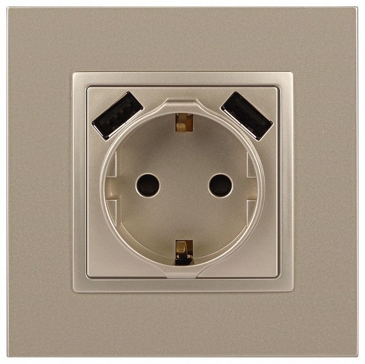Розетка с заземлением и со шторкой и 2хUSB, без рамки Эра Эра Elegance 14-4109-04