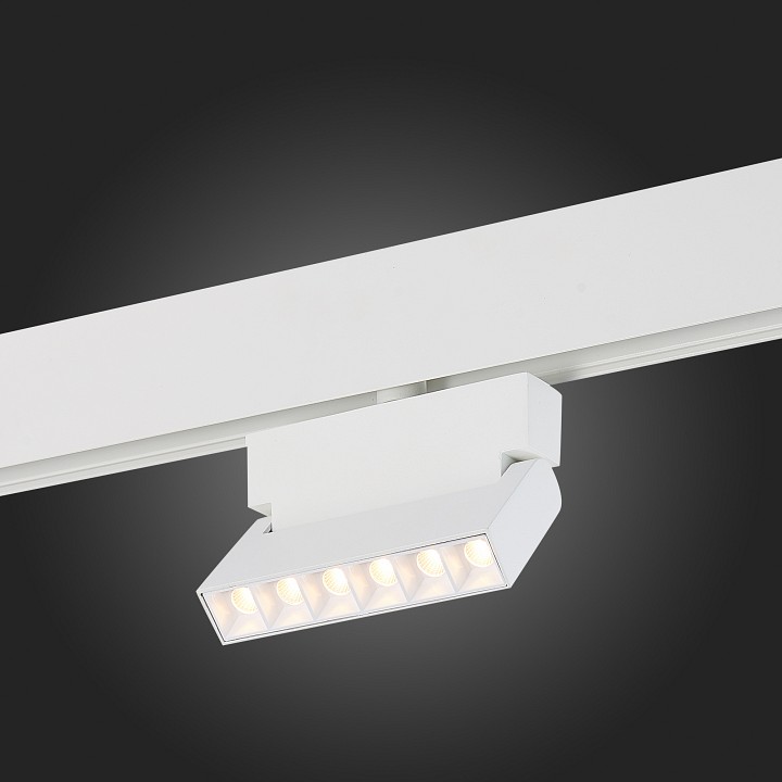 Светильник на штанге ST-Luce Andre ST362.536.06