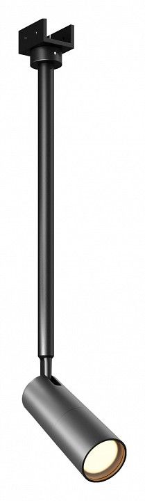 Светильник на штанге Maytoni Outdoor Фокус O-TR01-2-P-8WB3K
