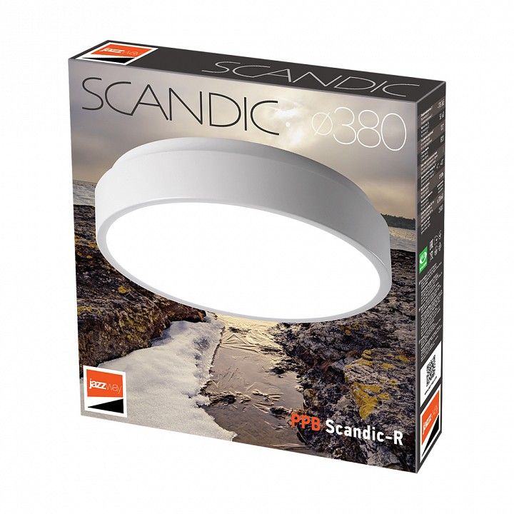 Накладной светильник Jazzway  PPB  Scandic-R 36w 4000K GR IP20 D380*50
