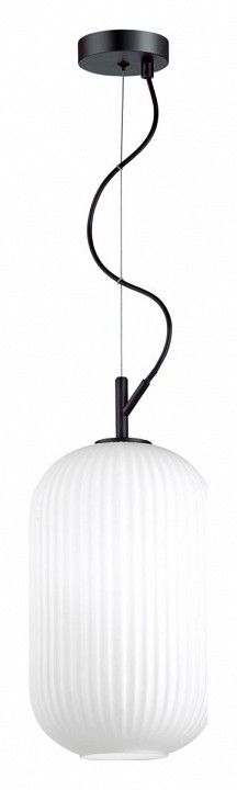 Подвесной светильник Odeon Light Roofi 4751/1