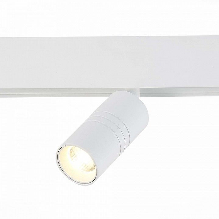 Светильник на штанге ST-Luce Lemmi ST365.536.07