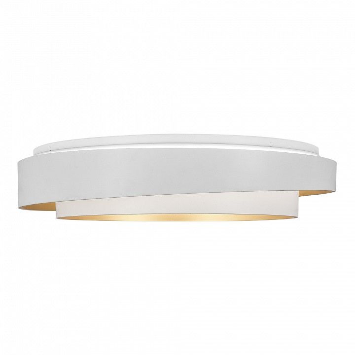 Накладной светильник EVOLUCE Crosby SLE6009-502-01
