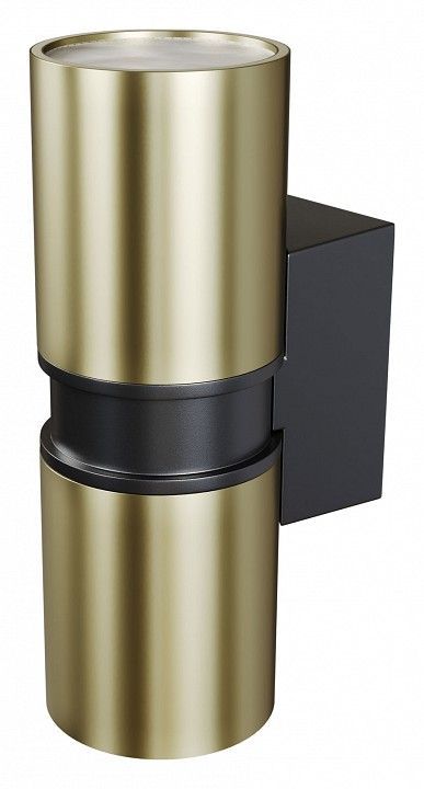Светильник на штанге Maytoni Outdoor Бауэри O582WL-02BS