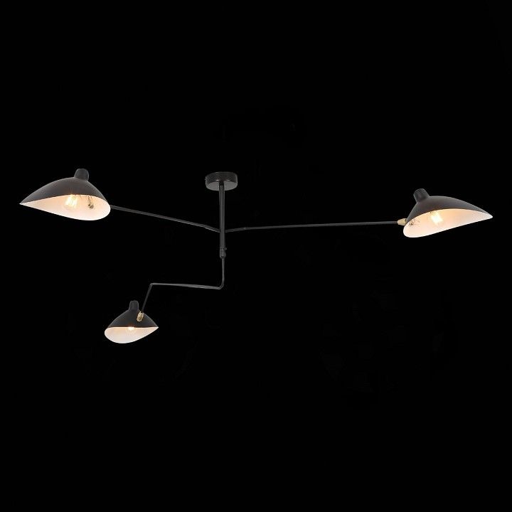 Люстра на штанге ST-Luce Spruzzo SL305.402.03