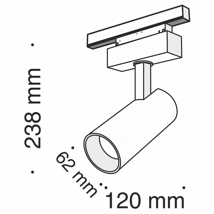 Светильник на штанге Maytoni Technical Фокус TR019-2-15W3K-B